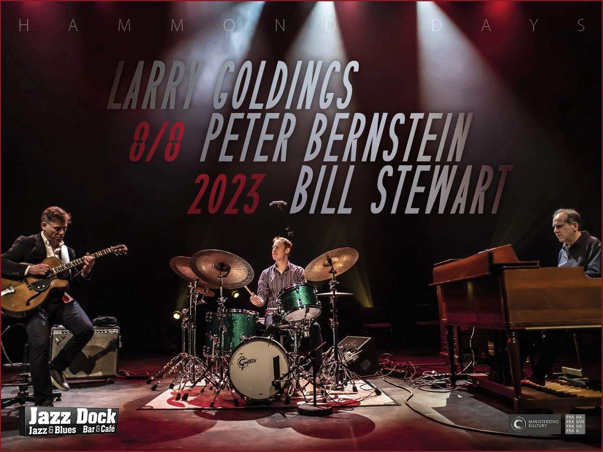 Larry Goldings / Peter Bernstein / Bill Stewart:HAMMOND DAYS