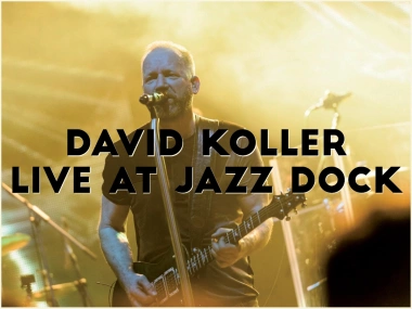 DAVID KOLLER - ACOUSTIC